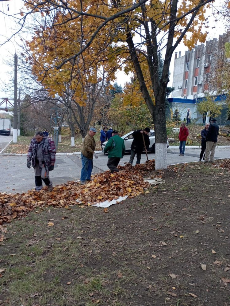 Ne implicăm, că ne pasă!