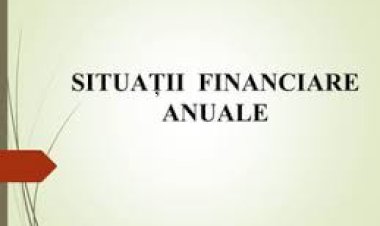Situațiile Financiare
