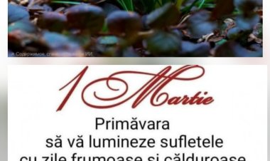 Felicitări cu 1 Martie!
